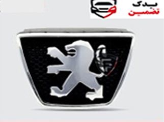 آرم جلو پنجره پژو 405