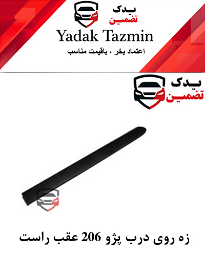 زه پلاستیکی روی در پژو 206 شرکتی (عقب راست )